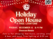 Copy of Holiday Open House (6)