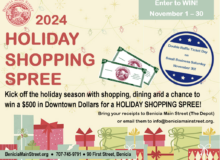 Holiday Shopping Spree Participant Poster 2024